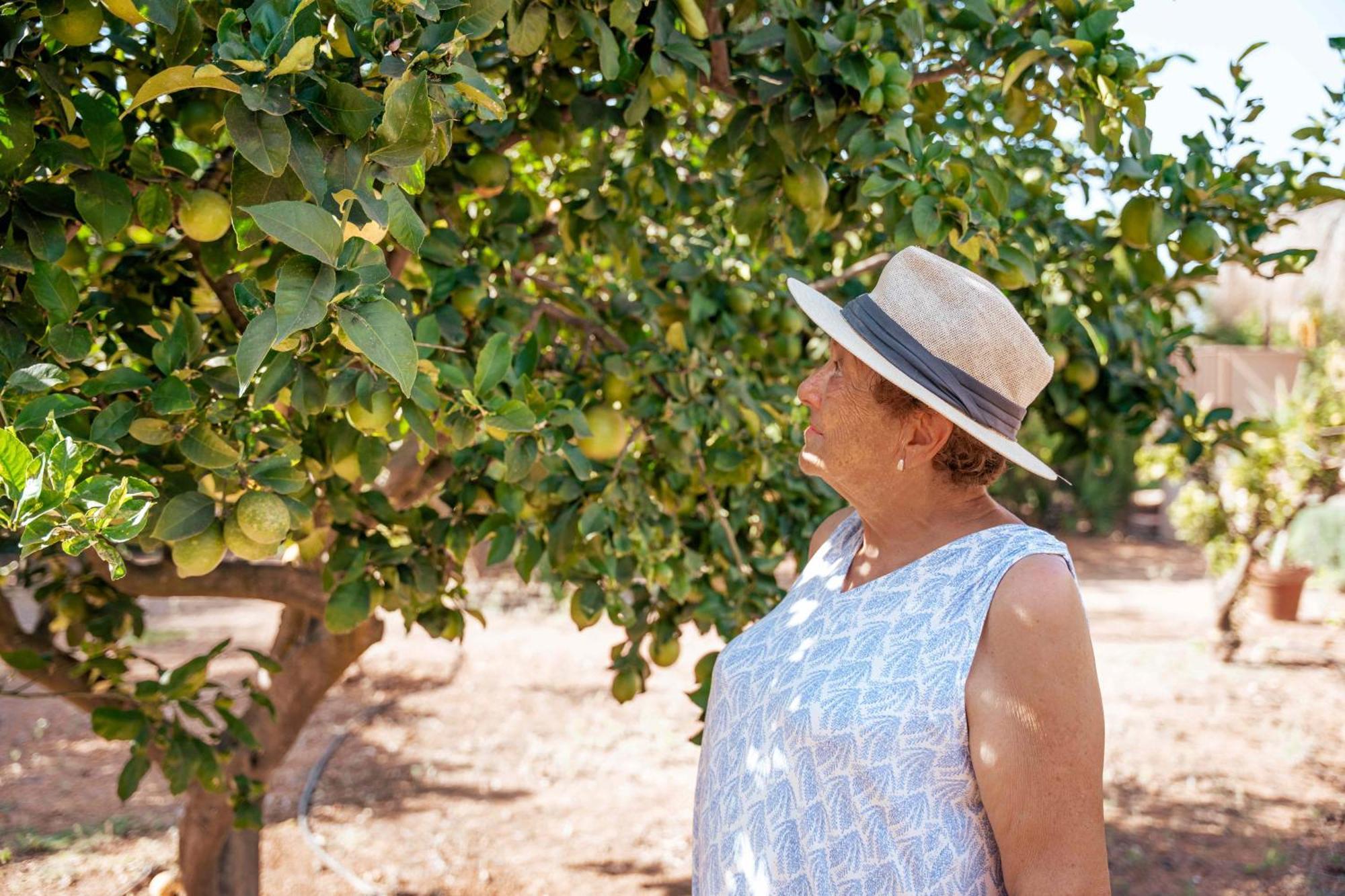 Séjour à la ferme Son Barcelo Mas